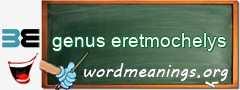 WordMeaning blackboard for genus eretmochelys